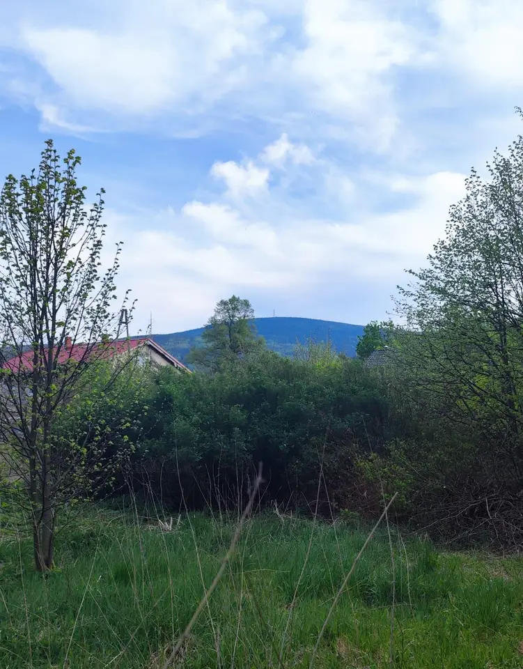Zdjęcie 8