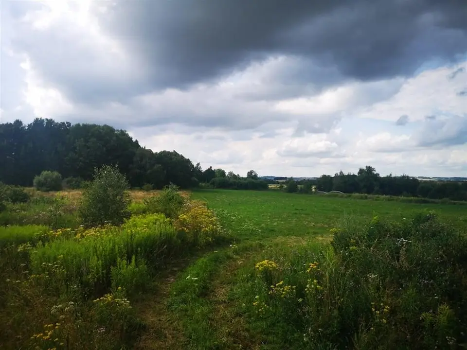 Zdjęcie 2