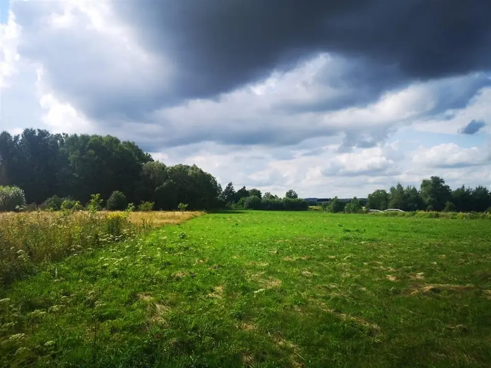 Zdjęcie 4