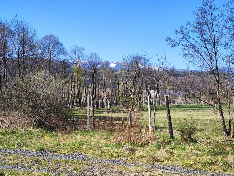 Działka budowlana 1 300 m², Piechowice