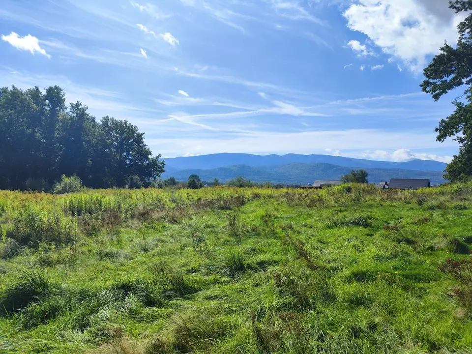 Działka budowlana 1 350 m², Wojcieszyce