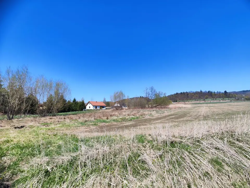 Zdjęcie 3