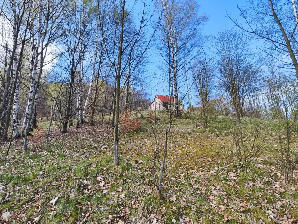 Działka budowlana 2 022 m², Piechowice