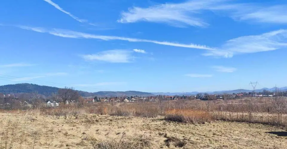 Zdjęcie 7