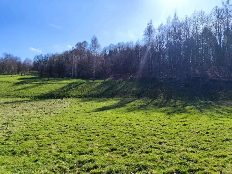 Zdjęcie 9