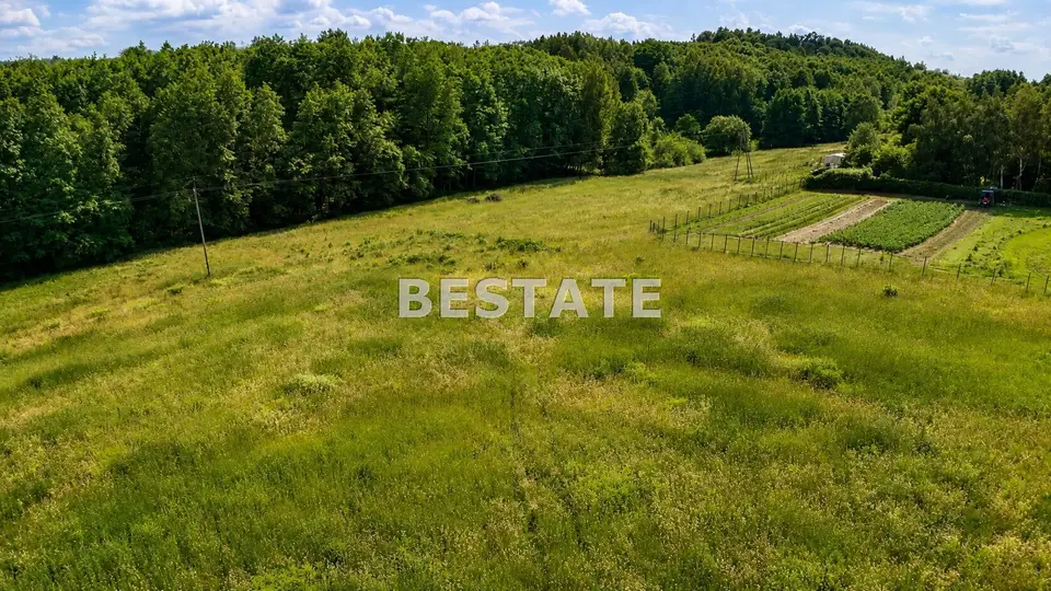 Zdjęcie 5