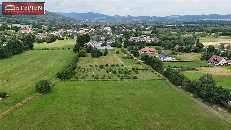 Zdjęcie 10