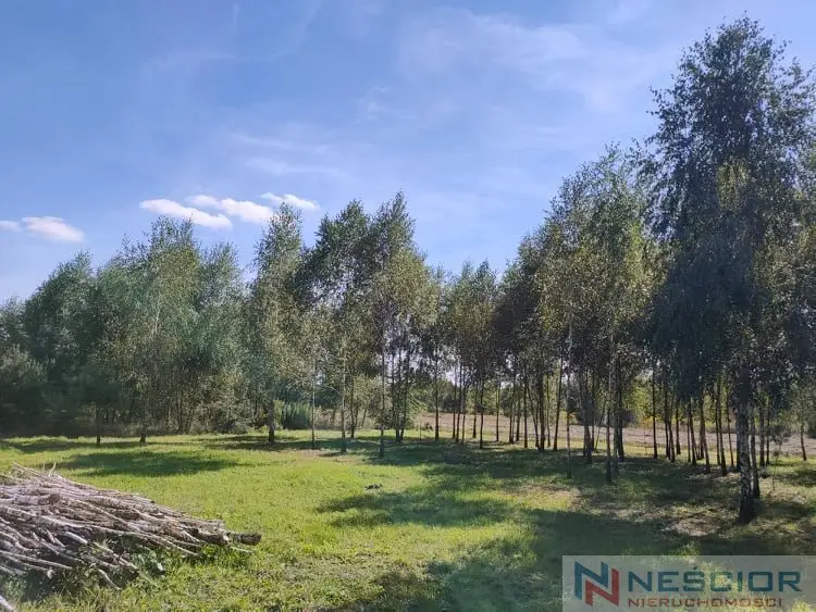 Działka budowlana 1 025 m², Teodorów