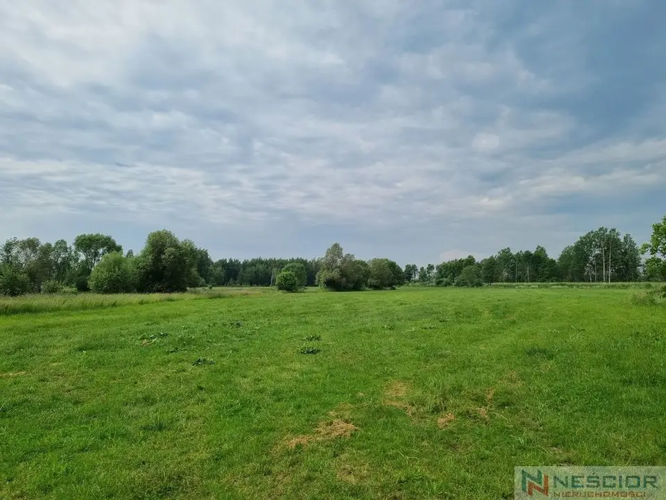 Działka budowlana 2 ha, Borki Siedleckie