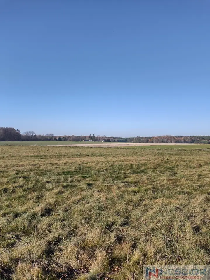 Działka siedliskowa 1 600 m², Rogóziec