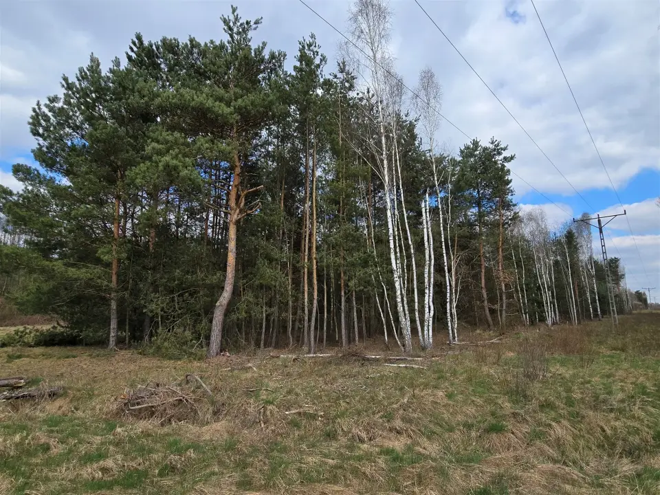 Zdjęcie 5