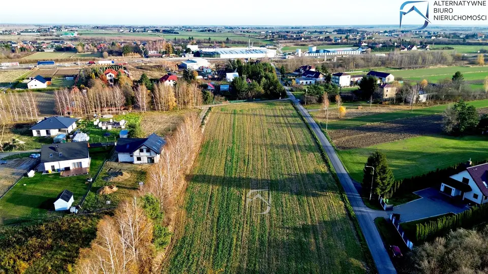 Zdjęcie 10