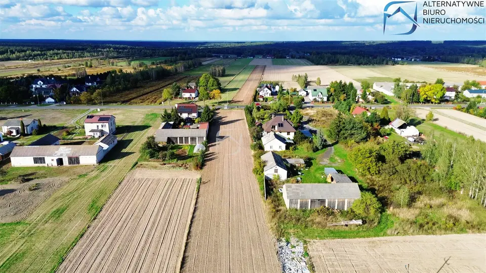 Zdjęcie 6