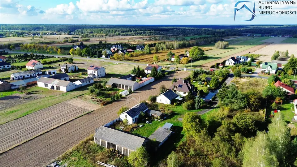 Zdjęcie 10