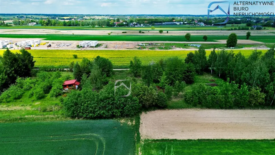 Zdjęcie 8