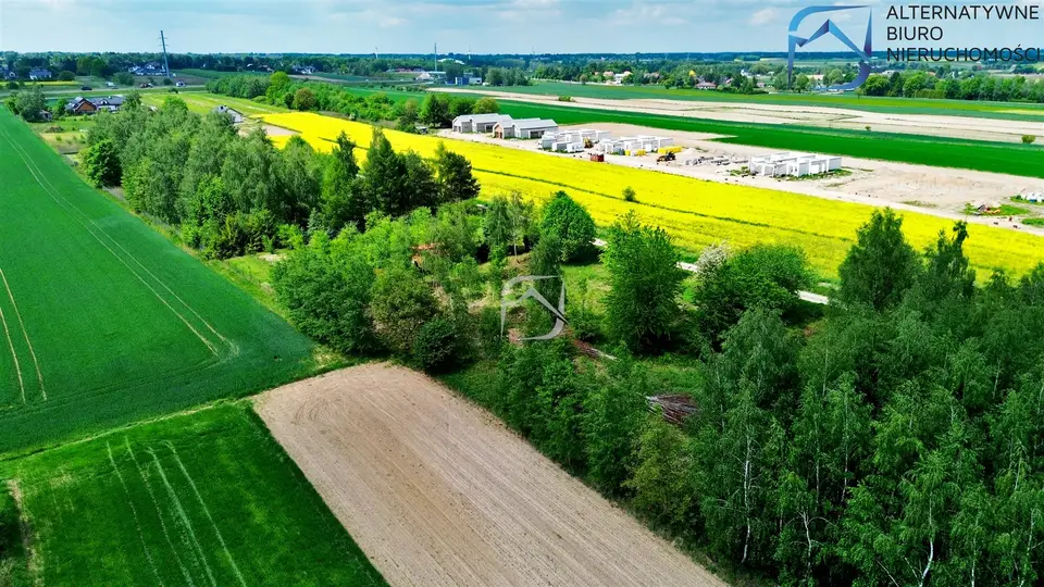 Zdjęcie 10