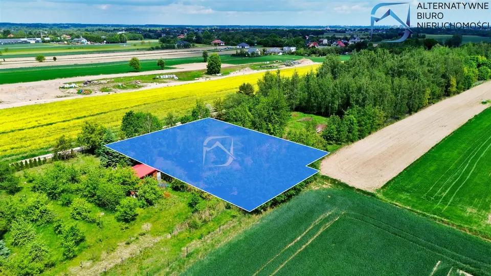 Zdjęcie 11