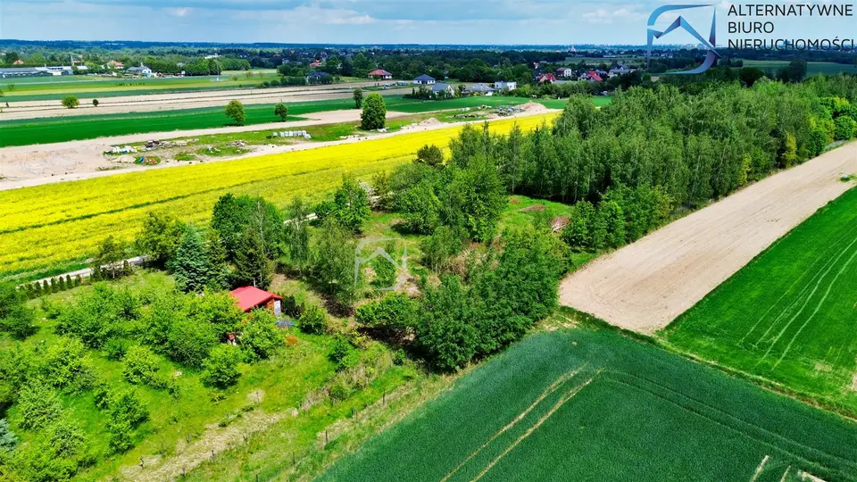 Zdjęcie 12