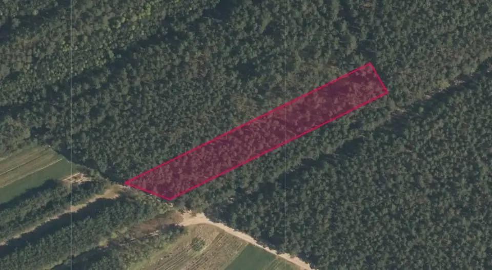 Działka budowlana 1,5 ha, Włyń