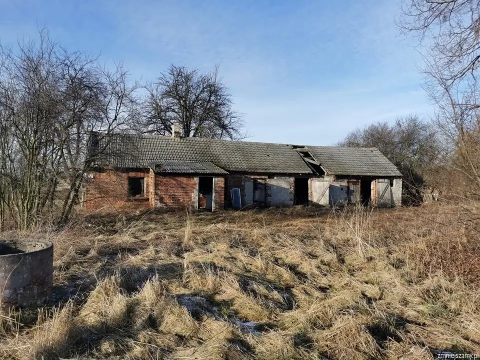 Zdjęcie 3