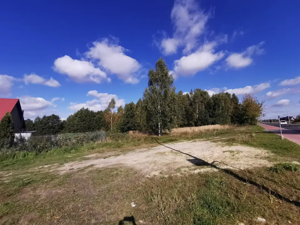 Zdjęcie 2