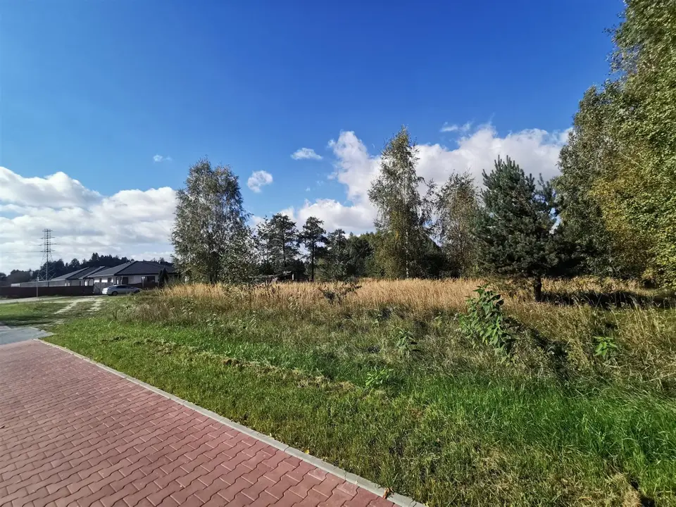 Zdjęcie 3