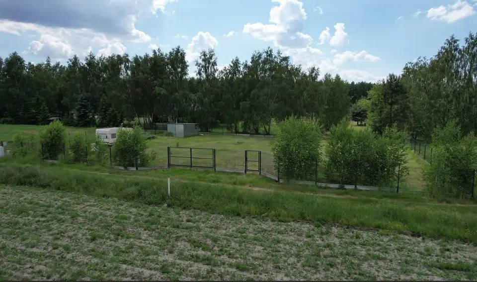 Zdjęcie 8