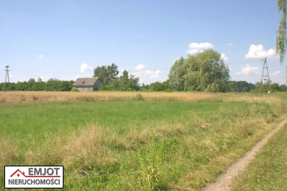 Zdjęcie 6