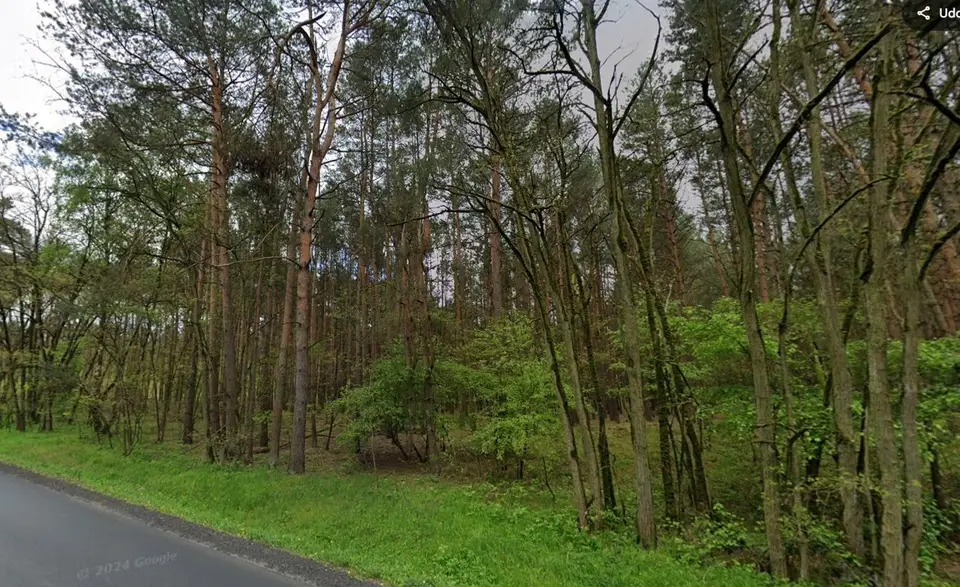 Działka leśna 2,14 ha, Stoczki