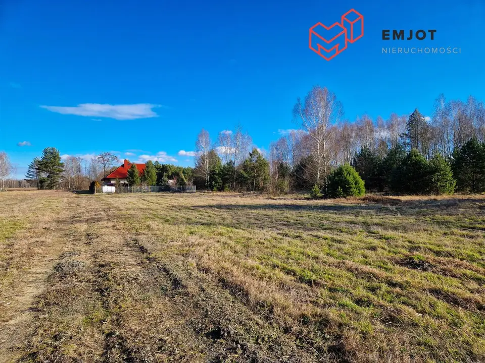 Zdjęcie 2