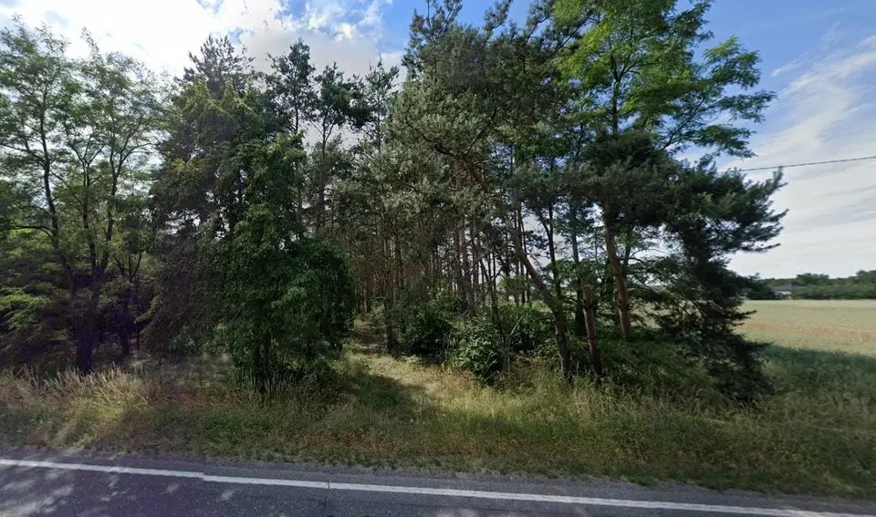 Działka budowlana 5 700 m², Ostrów Warcki