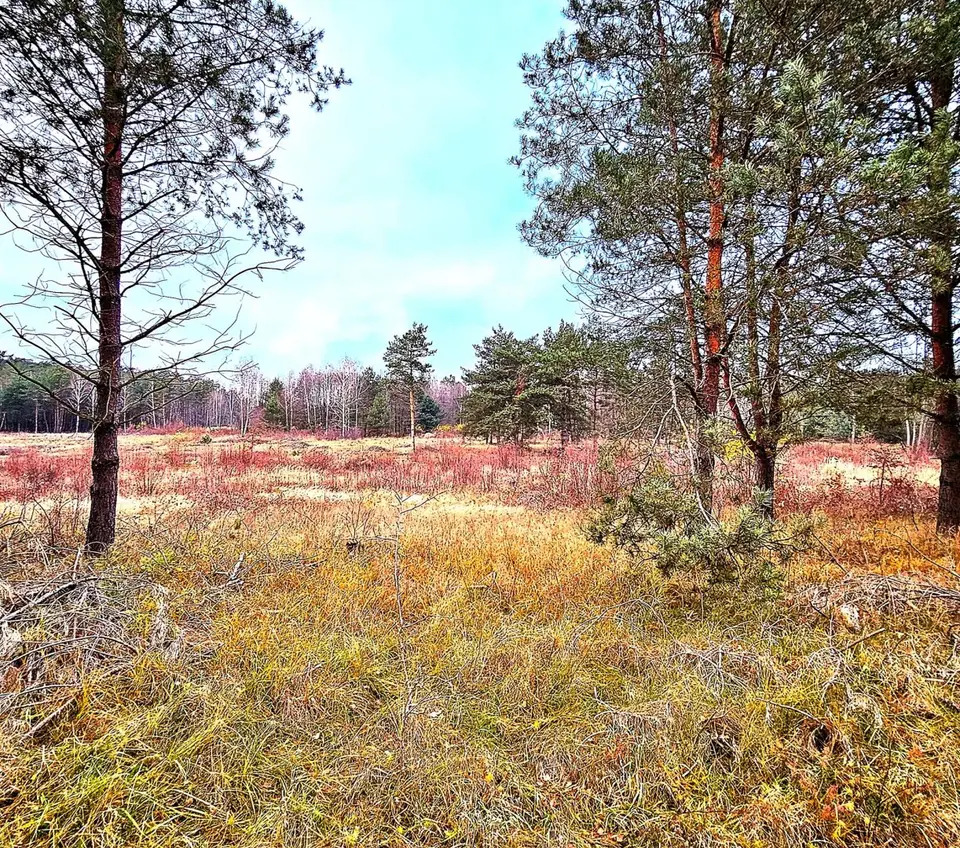 Działka budowlana 1 338 m², Sieradz, Herby