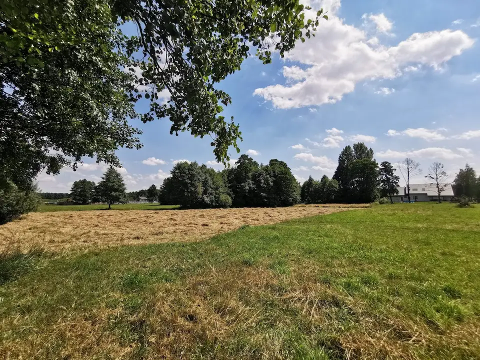 Działka budowlana 3 482 m², Paprotnia, Marżynek