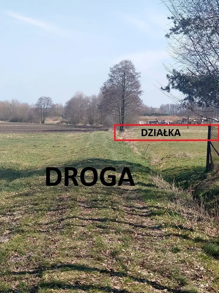 Zdjęcie 3