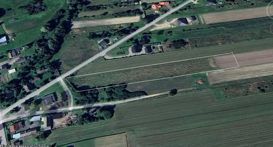 Zdjęcie 6