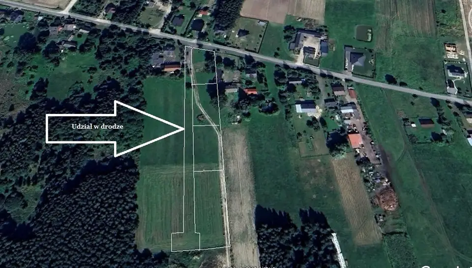 Zdjęcie 11