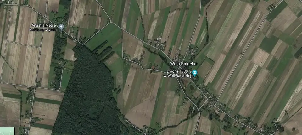 Zdjęcie 3