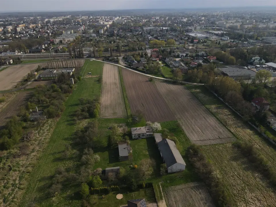 Zdjęcie 5