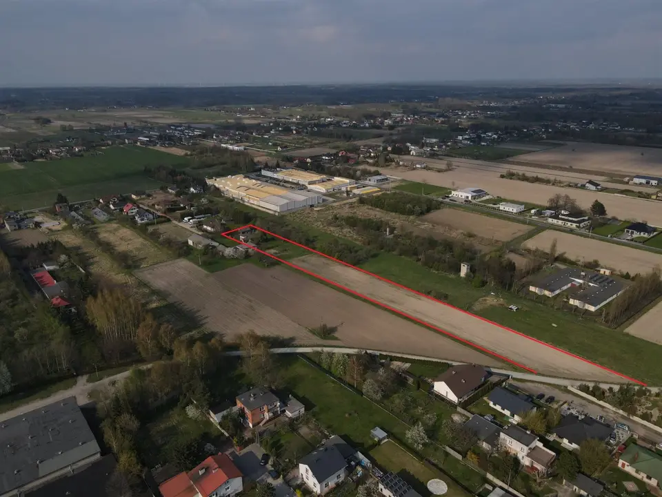 Zdjęcie 11
