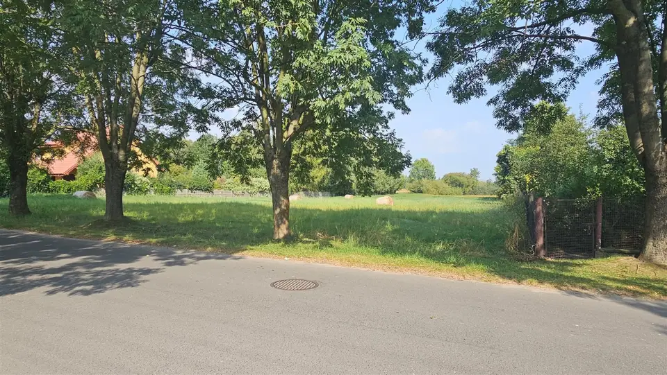 Działka budowlana 4 500 m², Zduńska Wola, Karsznice