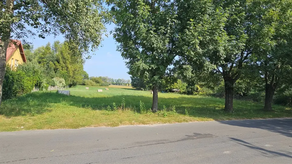 Zdjęcie 2
