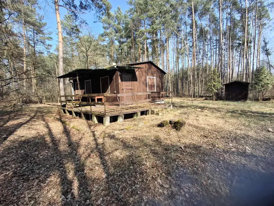 Zdjęcie 8