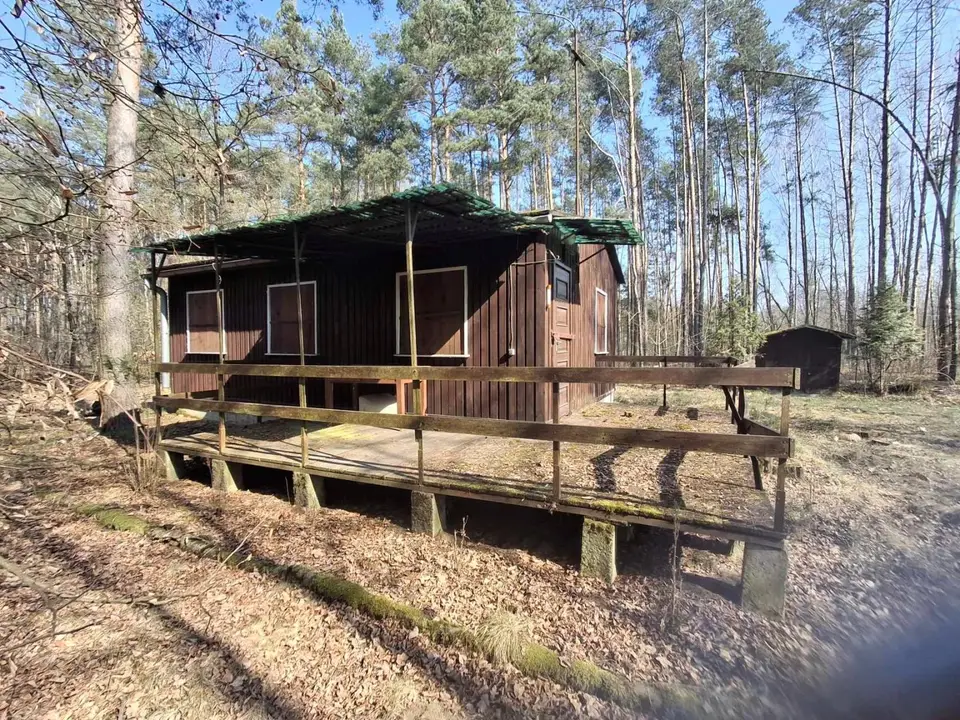 Zdjęcie 12