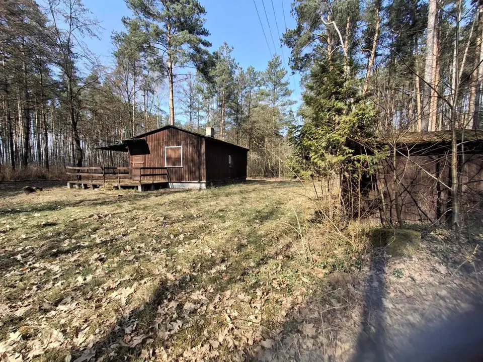 Zdjęcie 14