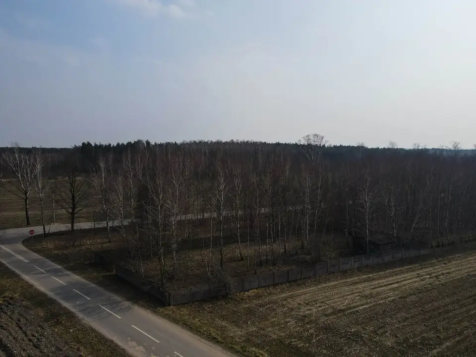 Zdjęcie 2