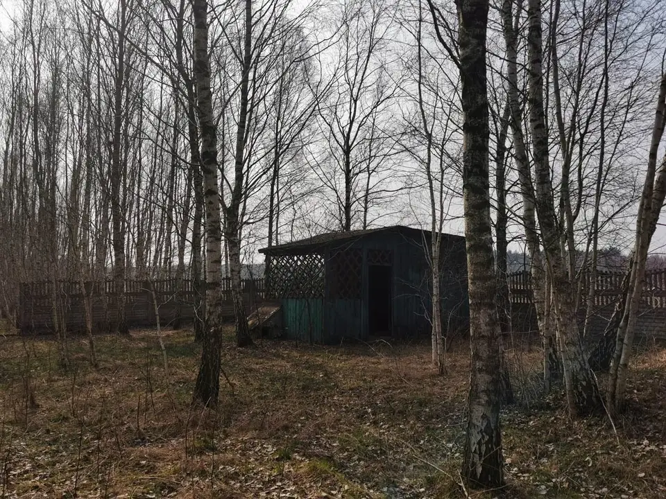 Zdjęcie 3