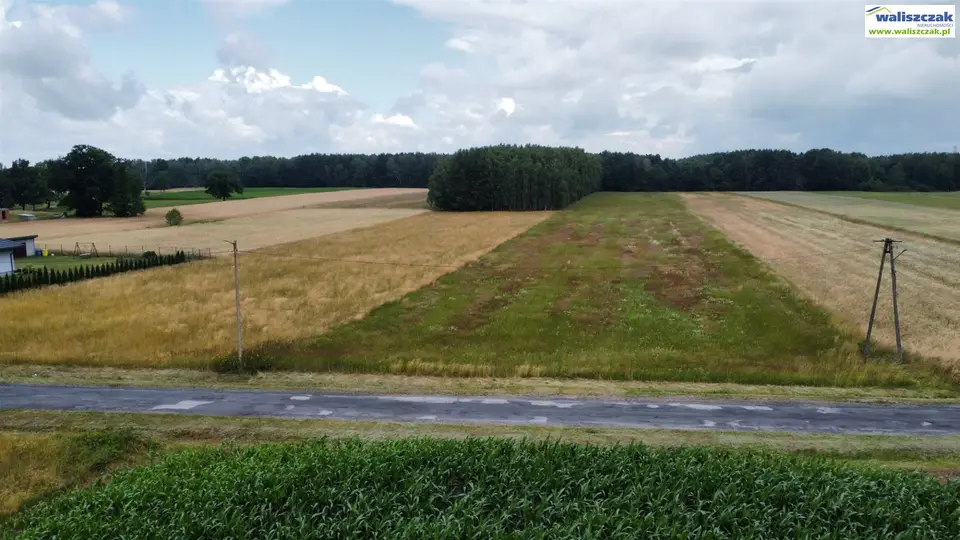 Działka budowlana i rolna 1 139 m², Adamów, Apolinów