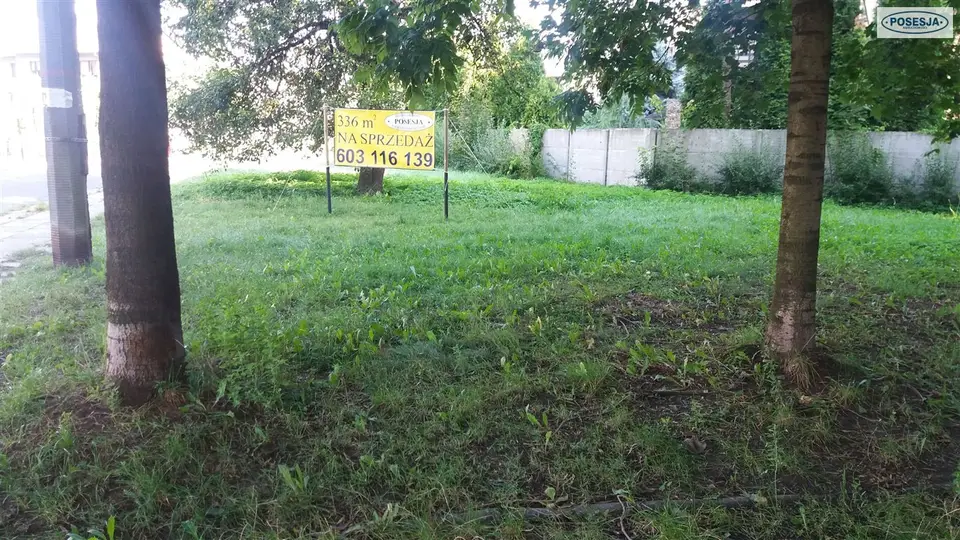 Zdjęcie 2
