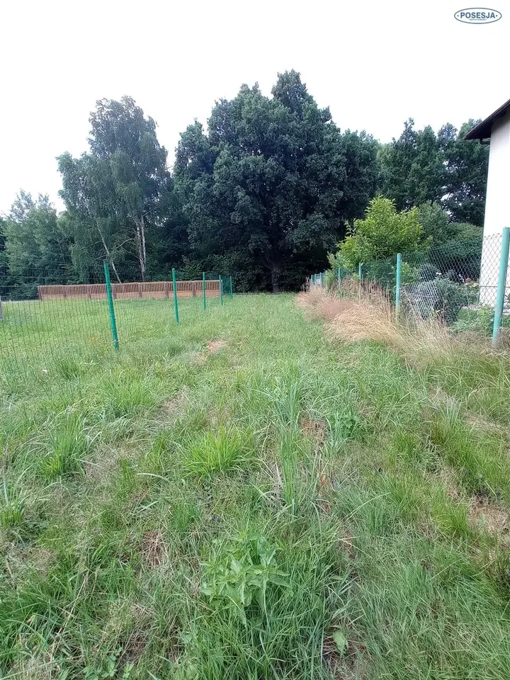Zdjęcie 5