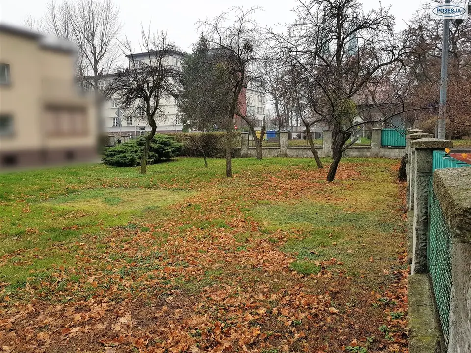 Zdjęcie 6